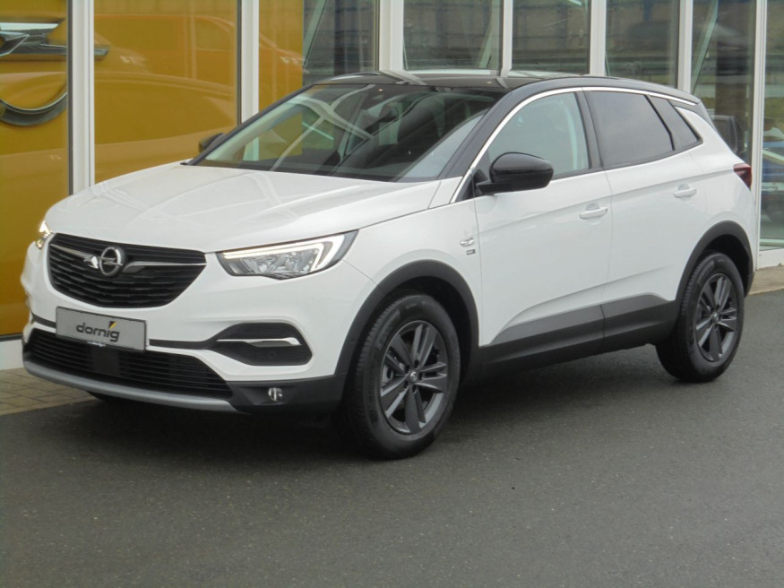 OPEL Grandland X 2020, SHZ