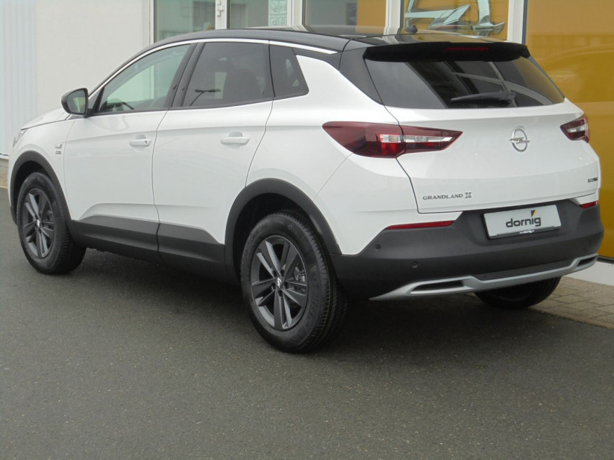 OPEL Grandland X 2020, SHZ